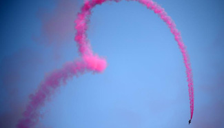 In pics: beauty of lines in 2015