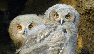 Am I looking like Marilyn Monroe?