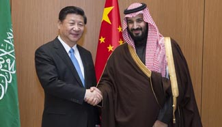 Chinese president meets with Saudi deputy crown prince
