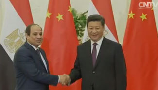 Xi's Egypt visit to yield key agreements and investments