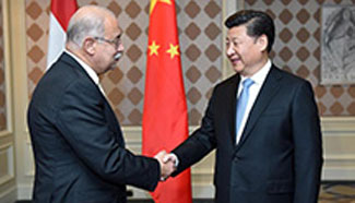 President Xi Jinping on cooperation with Middle East