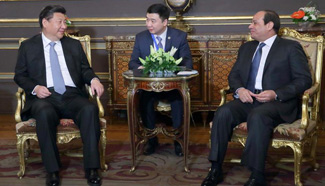 Chinese president meets with Egyptian counterpart