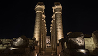 Chinese President attends celebrations marking 60 years of Egypt-China relations