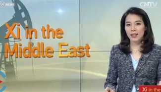 Iranians welcome Xi's visit