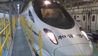 A look at how China Railway Corp is getting people home