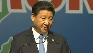 Xi emphasizes importance of China-Africa ties