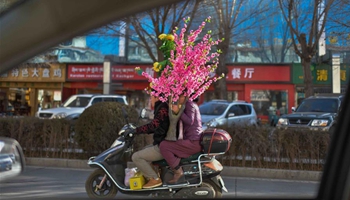 Lhasa citizens buy goods to greet Spring Festival and Tibetan New Year