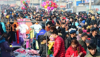 People shop for Spring Festival goods at rural fair in China's Hebei