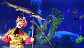 Beijing Aquarium launches folk activities for Spring Festival