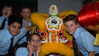 Chinese lunar New Year celebrated in Sydney