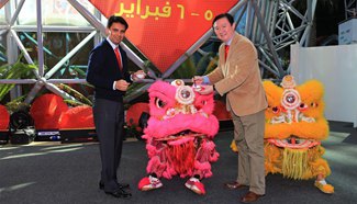 Chinese Spring Festival celebrated in United Arab Emirates