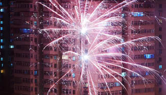 In pics: fireworks in Beijing at Lunar New Year's eve