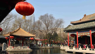 Spring Festival lantern fair held in E China's Shandong