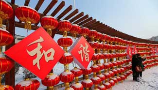 Red lanterns decorated to greet Spring Festival in NE China