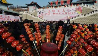 People celebrate Spring Festival across China