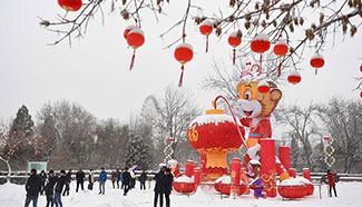 Snowfall hits NW China's Yinchuan