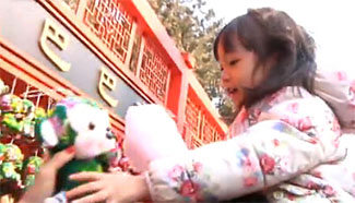 Visitors throng Ditan Temple fair in Beijing