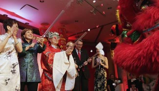 Chinese Lunar New Year Celebration event held in Canada