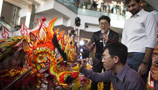Celebration events held for Chinese lunar New Year in Argentina