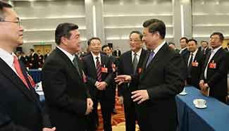 Chinese leaders join panel discussions with political advisors