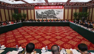 Plenary meeting of 12th NPC deputies from Jiangxi held in Beijing