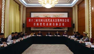 Plenary meetings of NPC deputies held in Beijing