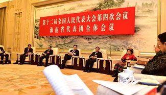 Plenary meeting of NPC deputies from Hainan held in Beijing