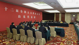 Panel meetings of deputies from Shandong Province to 4th session of 12th NPC held in Beijing