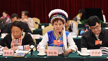 Panel discussion of NPC deputies from Yunnan Province held in Beijing