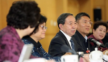 Chinese education minister joins panel discussion with political advisors