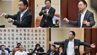 CPPCC member elaborates gravitational waves in panel discussion