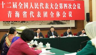 President Xi joins group deliberation of NPC deputies from Qinghai