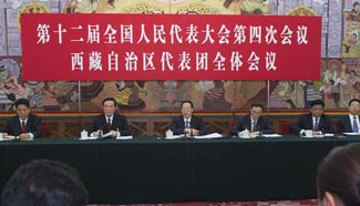 Vice premier joins group deliberation of deputies of China's Tibet