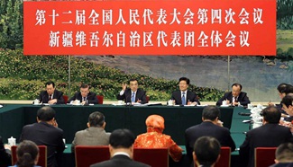 Premier Li stresses development, stability in Xinjiang