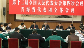 Xi: Ethnic diversity promotes China's development