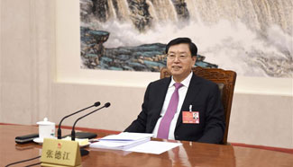 Zhang Dejiang presides over 2nd meeting of presidium's executive chairpersons