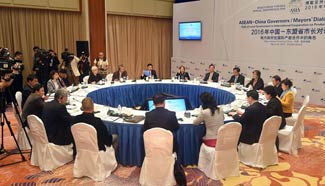 Sub-forum "ASEAN-China Governors/Mayors Dialogue" held at BFA