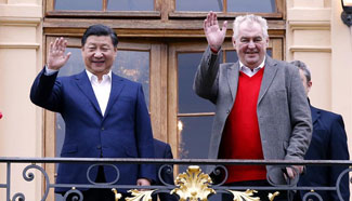 Chinese president meets with Czech counterpart