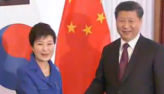 Xi meets foreign leaders before summit