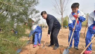President Xi Jinping calls for forestry development