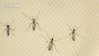 US redirects 589mln USD for Ebola to use in fight against Zika