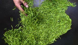 In pics: Tea making in C China's Hubei