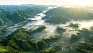 In pics: mountain scenery in E China's Anhui