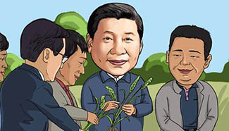 Cartoon commentary: Xi's Xiaogang visit to deepen reform