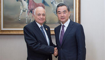 Chinese FM meets Arab League Secretary-General in Doha