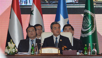 China-Arab relations leap forward with large potential: Chinese FM