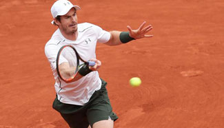 French Open semifinal: Murray beats Wawrinka 3-1