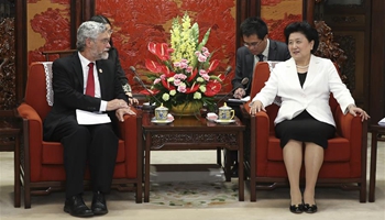 Chinese vice premier meets U.S. president's technology official