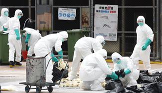 HK suspends live poultry trade after H7N9 bird flu detection
