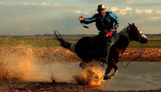 Mongolian horse photography competition held in China's Inner Mongolia
